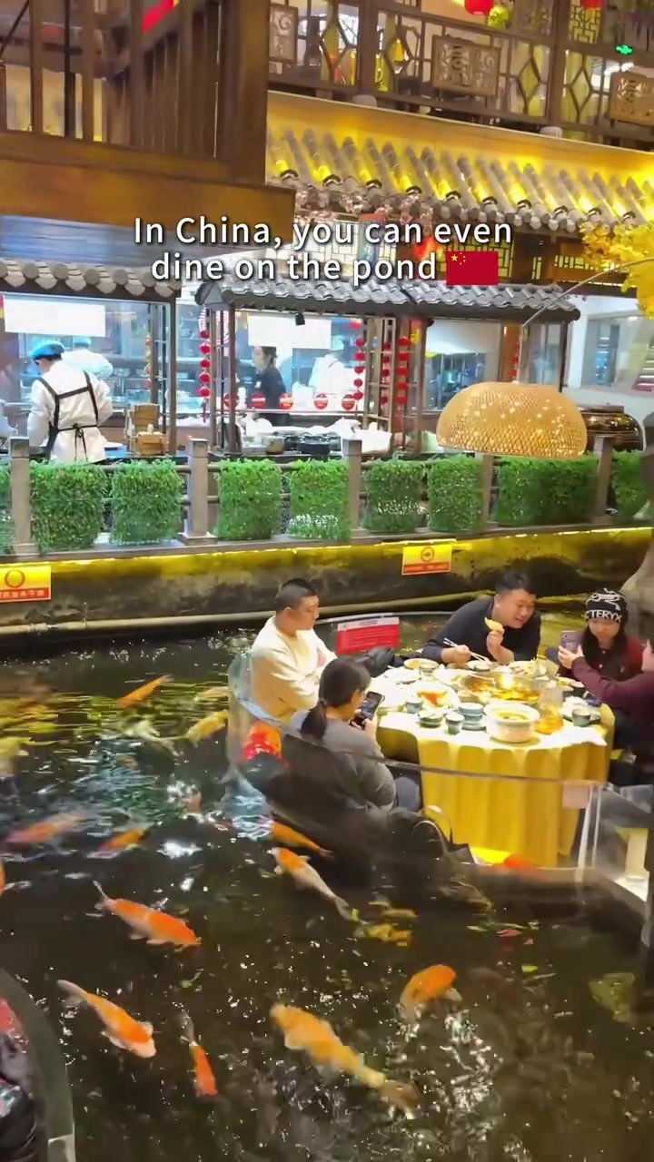 Diners eating at a round table positioned within a pond full of colourful koi