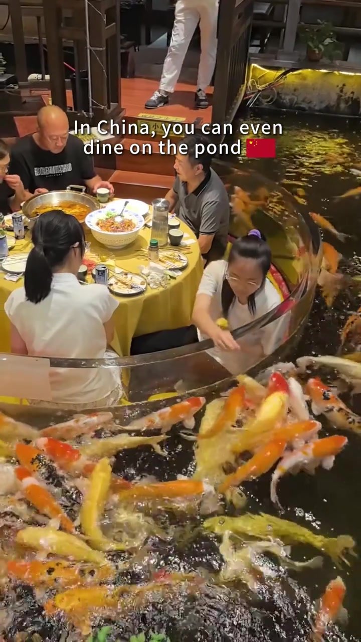 A circular dining booth bordered by clear panels as koi crowd through the surrounding water