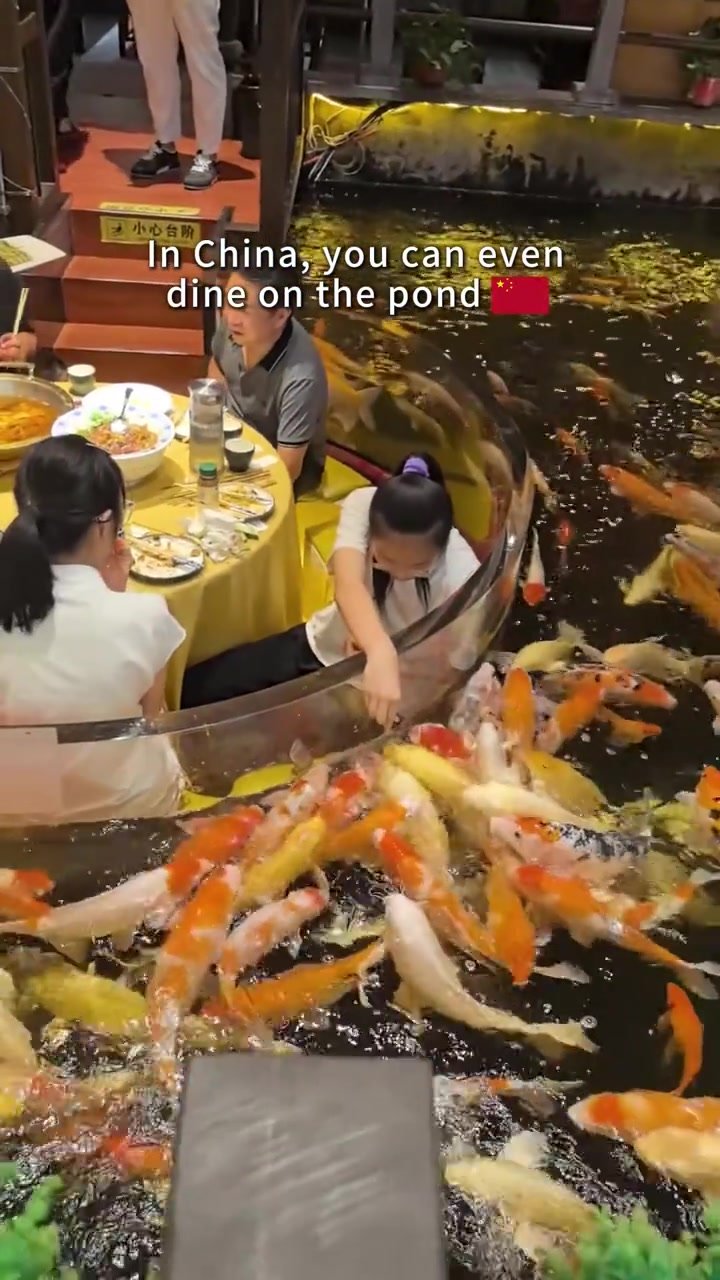Diners beside a dense gathering of orange, white and yellow koi